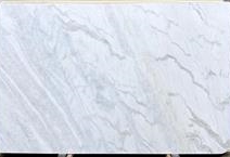 venatino White